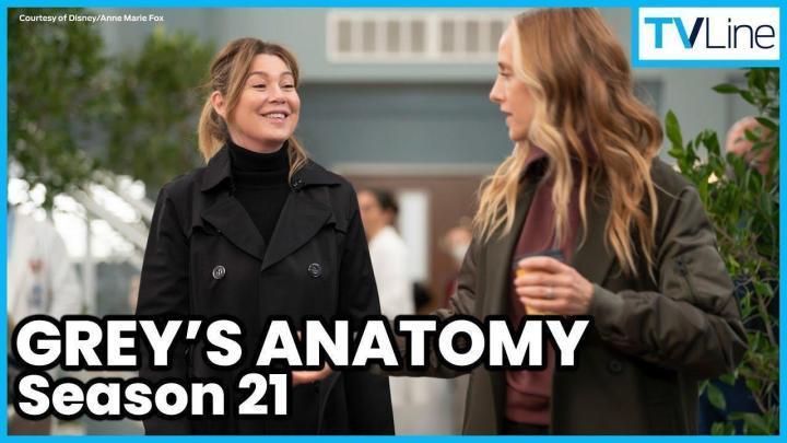 مسلسل Grey’s Anatomy الموسم 21 الحلقة 14 مترجمة