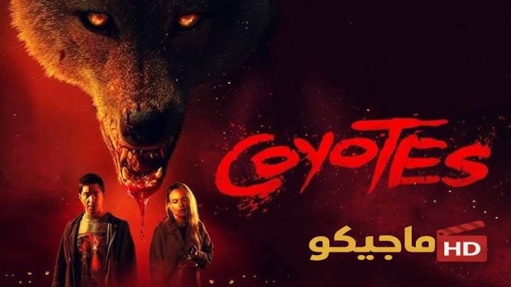 فيلم Coyotes 2025 مترجم اون لاين