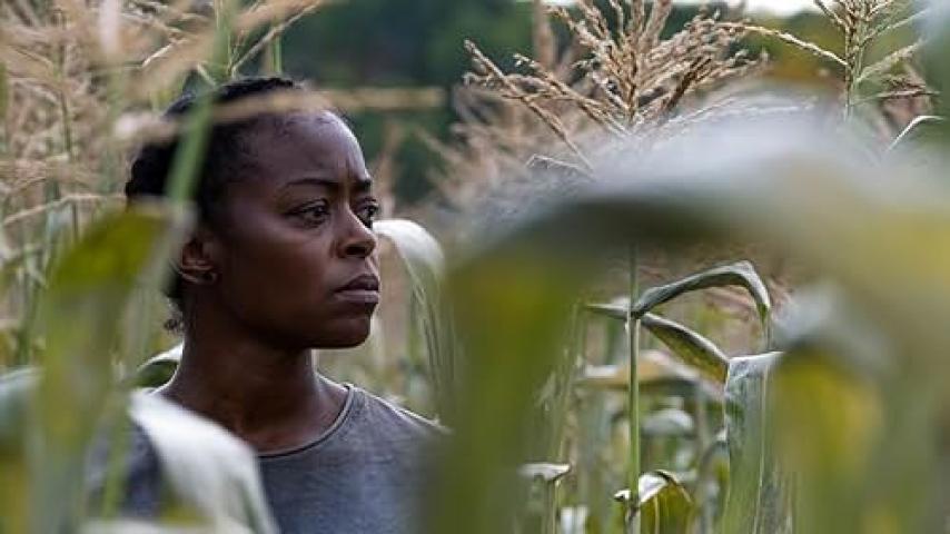 فيلم 40 Acres 2024 مترجم موفيز لاند