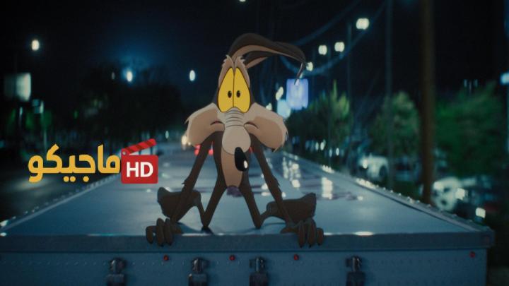 مشاهدة فيلم Coyote vs. Acme 2026 مترجم