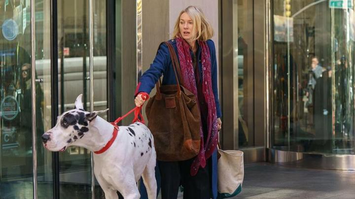 فيلم The Friend 2024 مترجم اون لاين